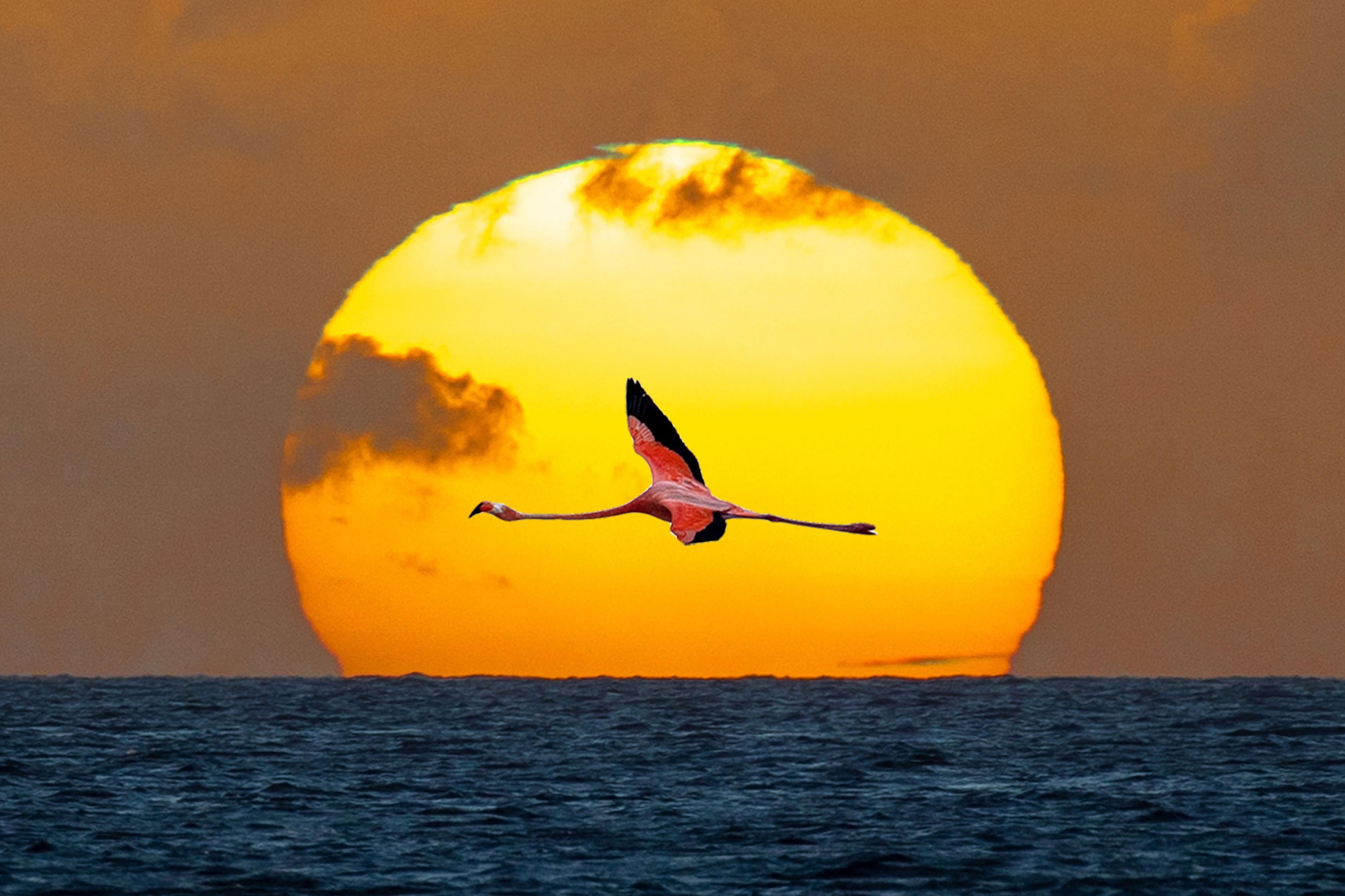 Bonaire.com-22