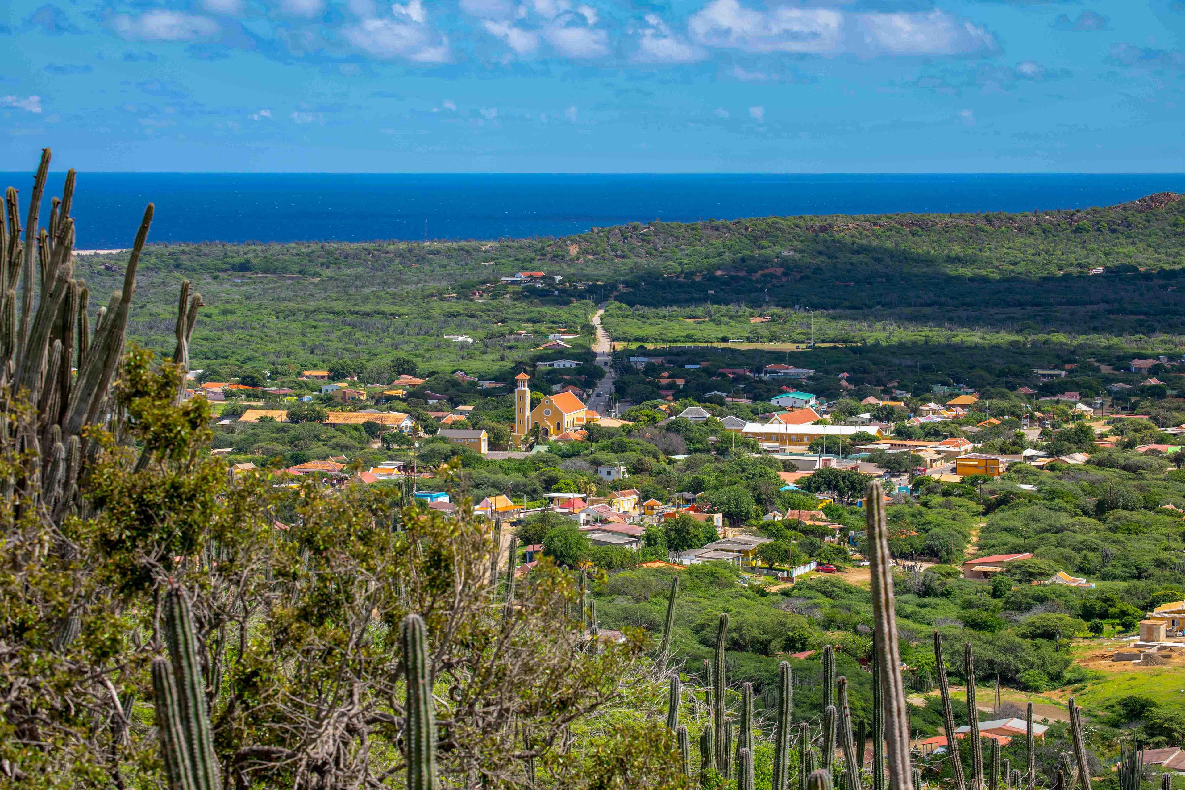 Bonaire.com-69