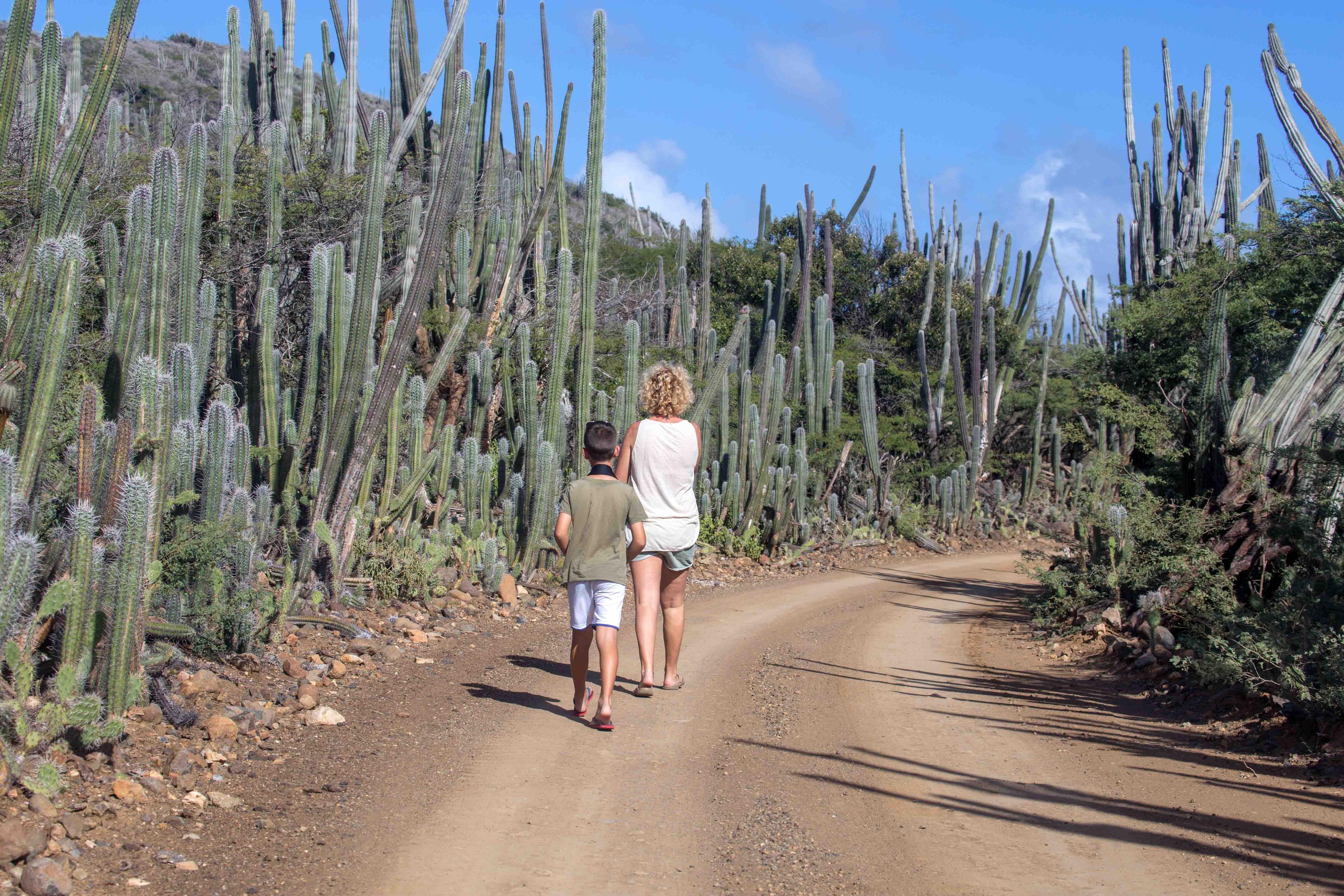 National park walking